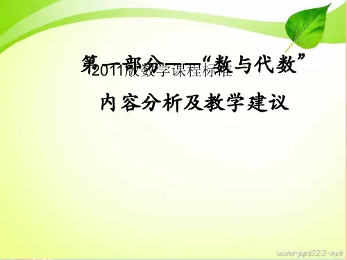 数学课程标准——“数与代数”内容分析及教学建议 ppt课件