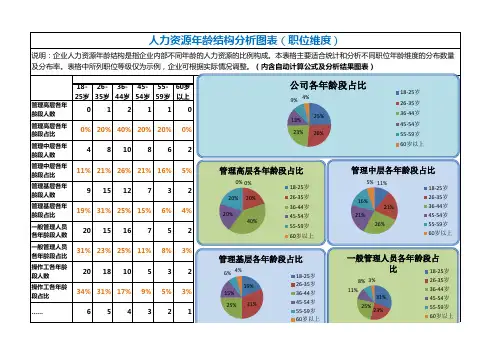 人力资源年龄结构分析图表