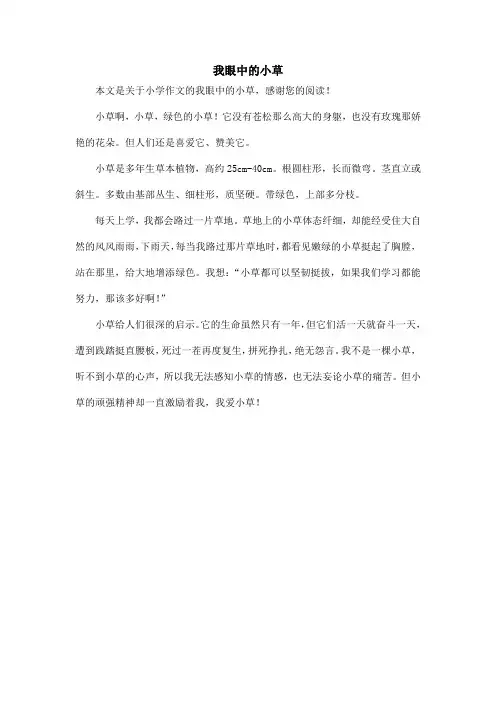 我眼中的小草_小学作文_1
