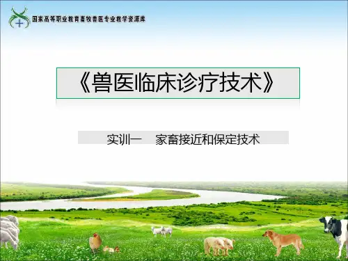 实训课件一动物接近和保定.