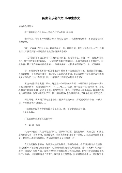 昆虫音乐会作文_小学生作文