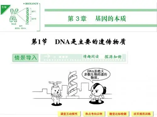 新课标人教版生物必修二：3-1DNA是主要的遗传物质 共47页PPT资料