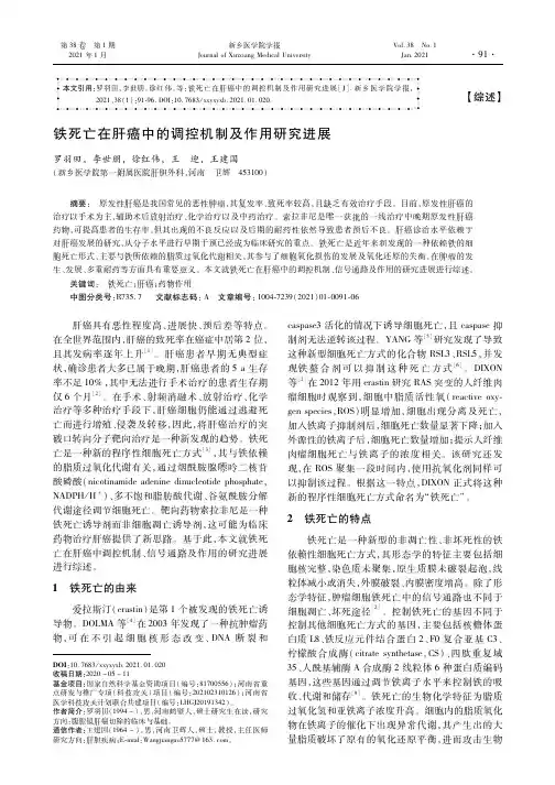 铁死亡在肝癌中的调控机制及作用研究进展