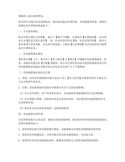 执照补领申请报告