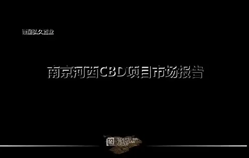 2019南京河西CBD项目市场报告50p 共51页