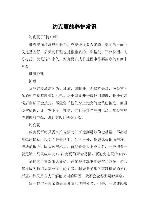 约克夏的养护常识