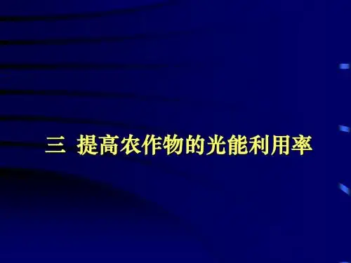 提高农作物的光能利用率
