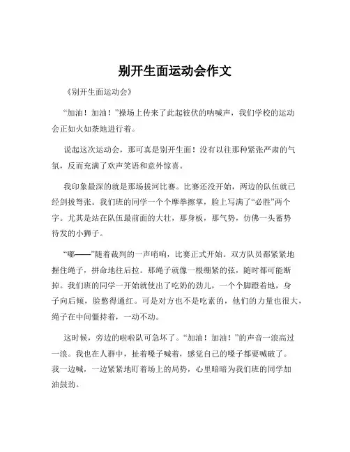 别开生面运动会作文