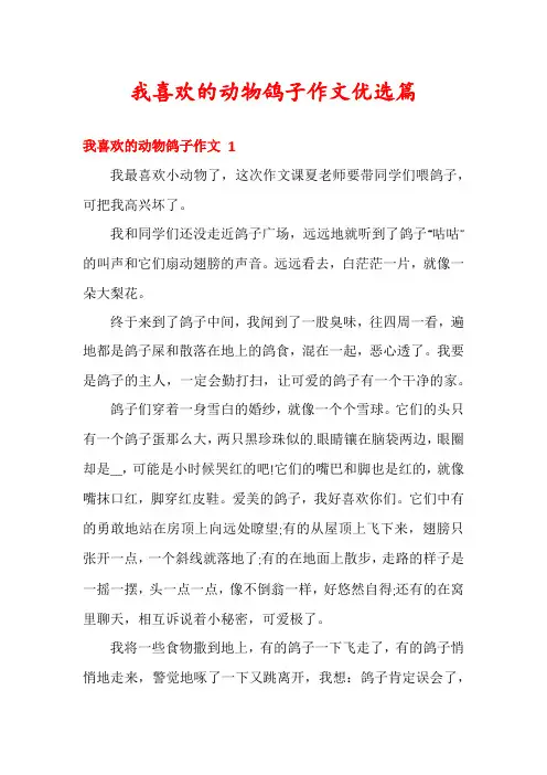 我喜欢的动物鸽子作文优选篇