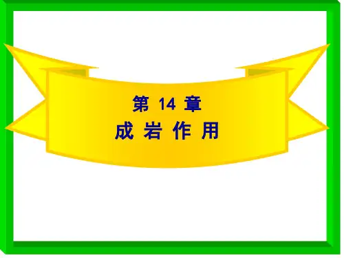 东华理工大学岩石学沉积岩4-成岩作用