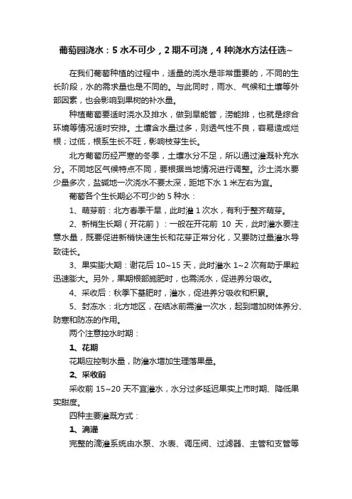 葡萄园浇水：5水不可少，2期不可浇，4种浇水方法任选~