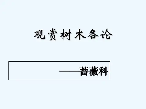 阔叶类(蔷薇科) PPT