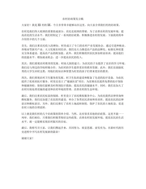 农村好政策发言稿