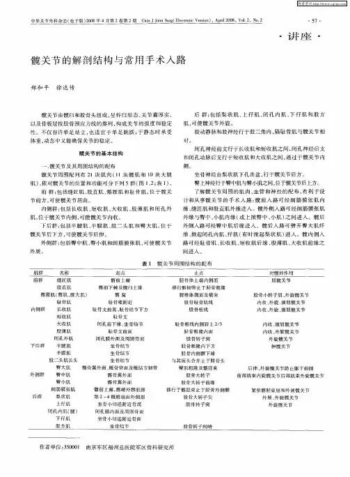 髋关节的解剖结构与常用手术入路