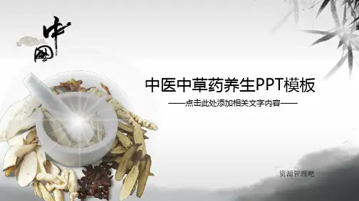 现代中医中草药养生模板