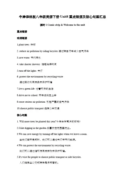 牛津译林版八年级英语下册Unit8重点短语及核心句型汇总