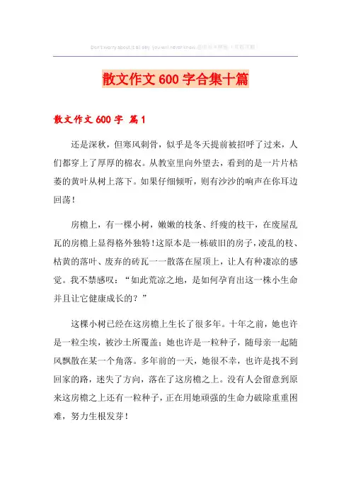 散文作文600字合集十篇