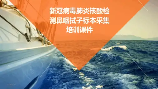 16314_新冠病毒肺炎核酸检测鼻咽拭子标本采集培训课件