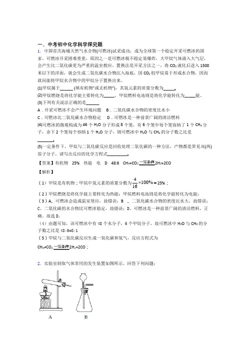 中考化学探究题综合经典题及详细答案