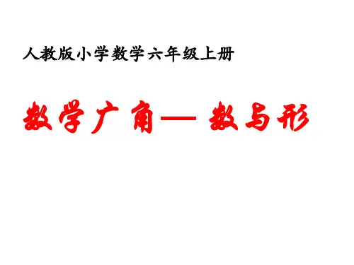 人教版六年级上册数学广角数与形单元课件资料