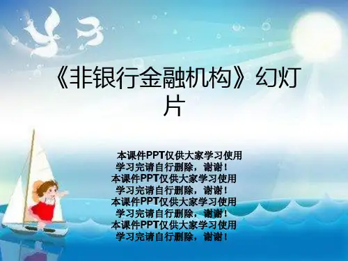 《非银行金融机构》幻灯片