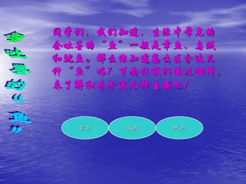 会吐墨的“鱼”