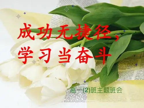 高一2班主题班会_成功无捷径-【优秀班会主题】