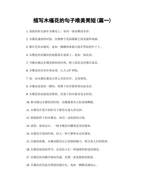 描写木槿花的句子唯美简短(精选2篇)