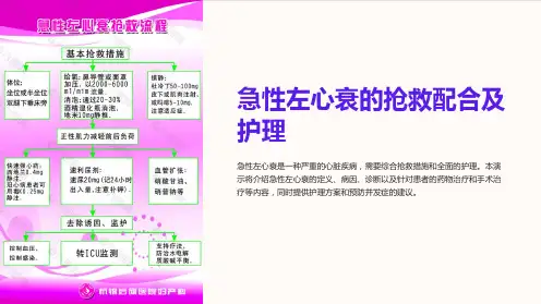 急性左心衰的抢救配合及护理