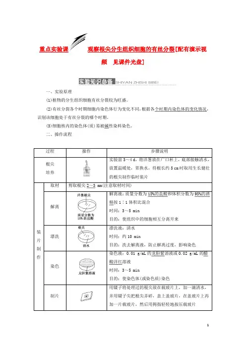 高三生物一轮复习 重点实验课 观察根尖分生组织细胞的有丝分裂 新人教版