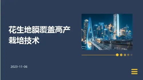 花生地膜覆盖高产栽培技术