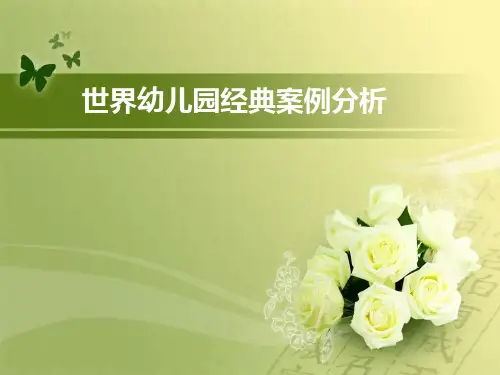 幼儿园经典案例