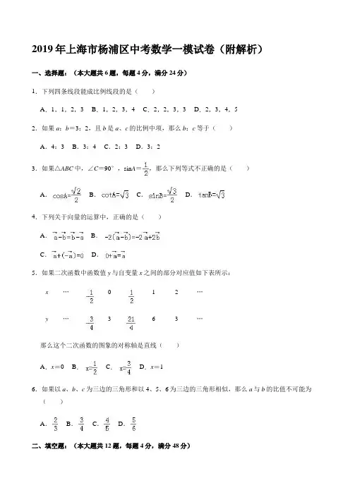 2019年上海市杨浦区中考数学一模试卷(附解析)