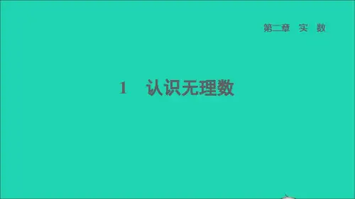 2022秋八年级数学上册 第二章 实数1 认识无理数课件(新版)北师大版