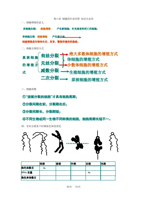 高中生物 第六章细胞的生命历程知识点总结