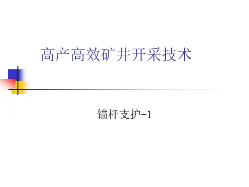 锚杆支护-1