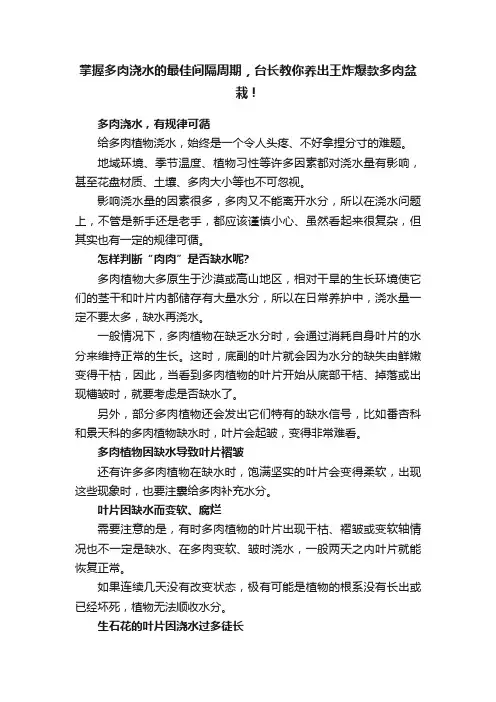 掌握多肉浇水的最佳间隔周期，台长教你养出王炸爆款多肉盆栽！