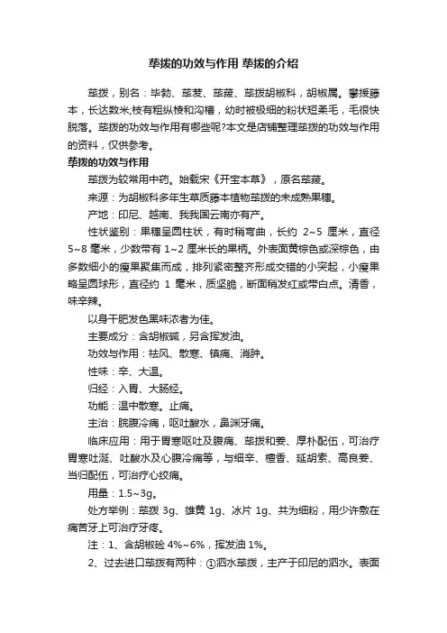荜拨的功效与作用荜拨的介绍