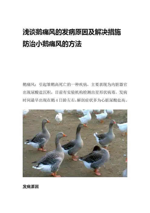 浅谈鹅痛风的发病原因及解决措施 防治小鹅痛风的方法