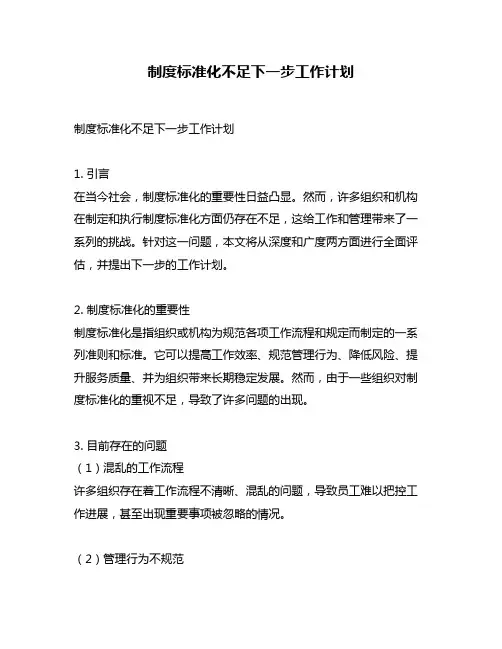 制度标准化不足下一步工作计划