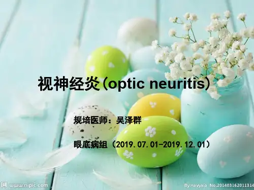 《视神经炎》ppt课件共43页文档