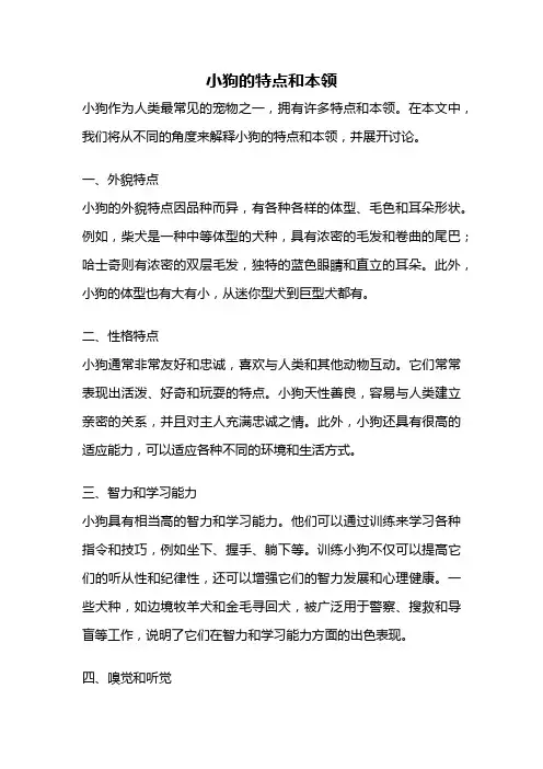 小狗的特点和本领