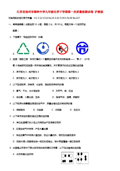 江苏省扬州市梅岭中学九年级化学下学期第一次质量检测试卷 