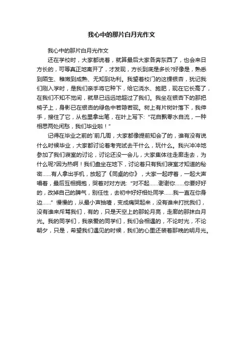 我心中的那片白月光作文