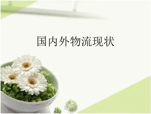 国内外物流现状(10页)