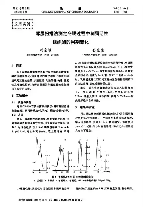 薄层扫描法测定冬眠过程中刺猬活性组织酶的周期变化