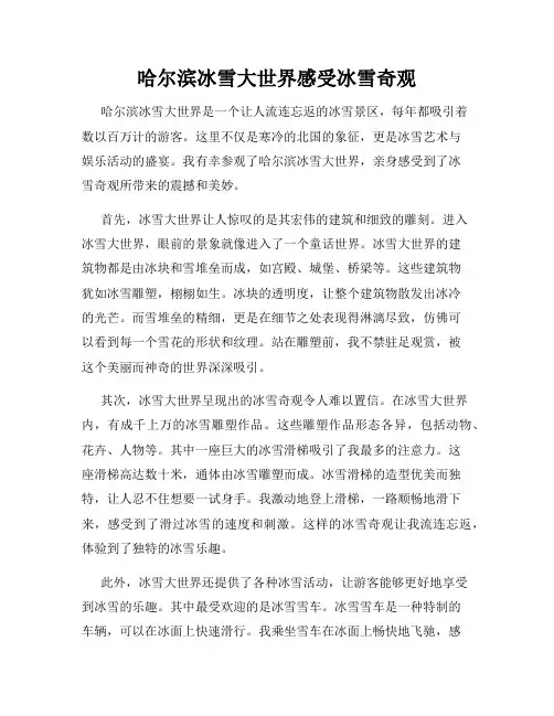 哈尔滨冰雪大世界感受冰雪奇观