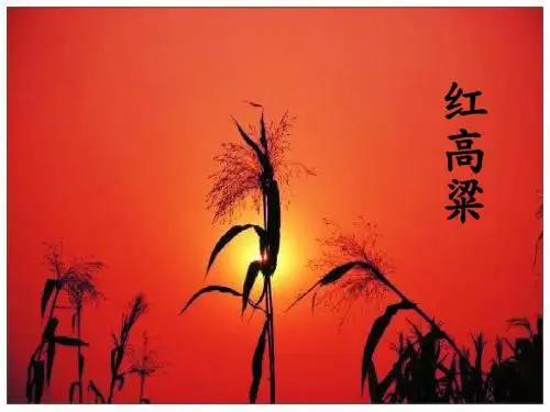 人教版高中语文选修-中国小说欣赏：红高粱----罗汉大爷