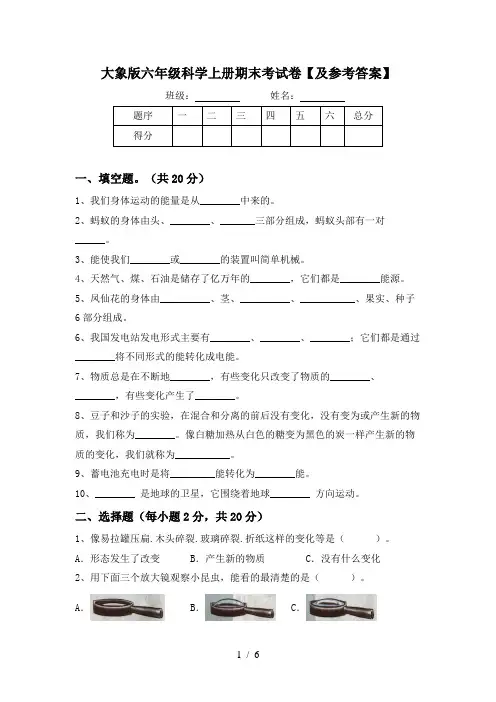大象版六年级科学上册期末考试卷【及参考答案】