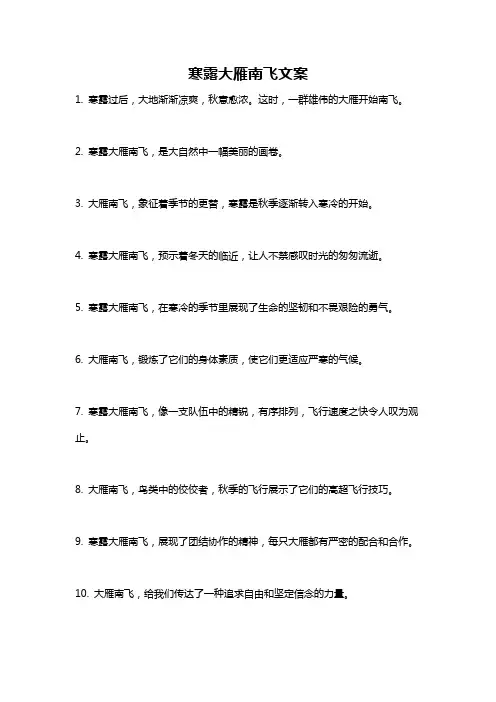 寒露大雁南飞文案